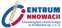 Logo Centrum Innowacji - przezroczyste